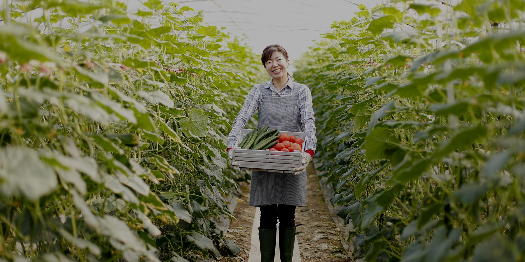 農業の成長と継続を支えるために伴走するパートナー