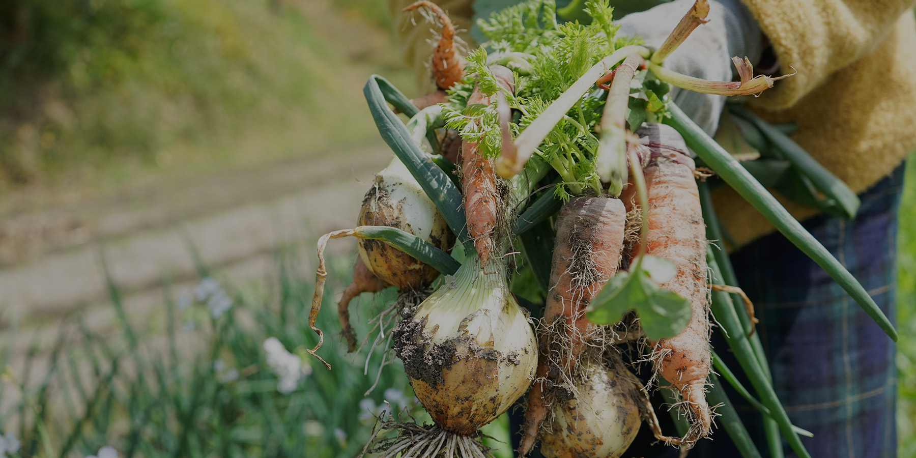 農業経営者、JA・各種生産組合、金融機関・士業のみなさまへ
