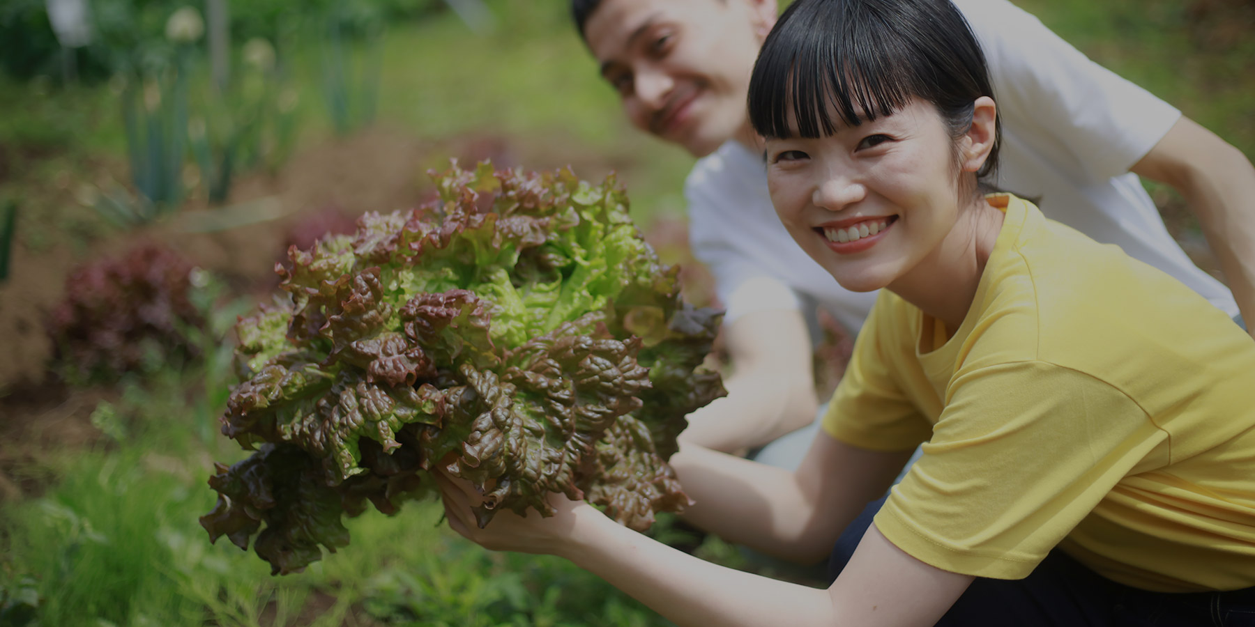 農業者からの相談対応・同行支援など、提携パートナーとして当社にて承ります